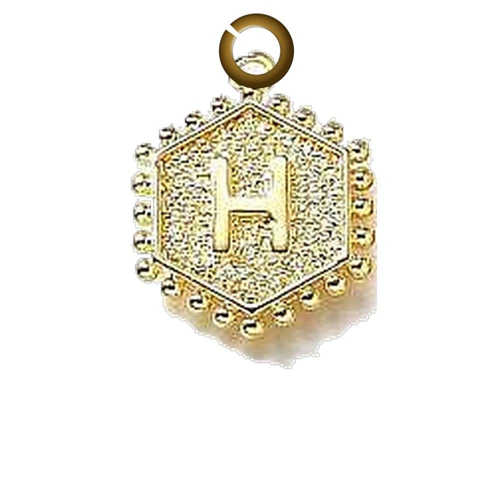 ENS-LTR001-H charm with jump ring
