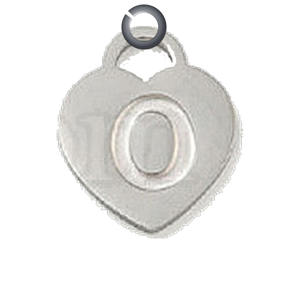 ENS-LTR004-O charm with jump ring