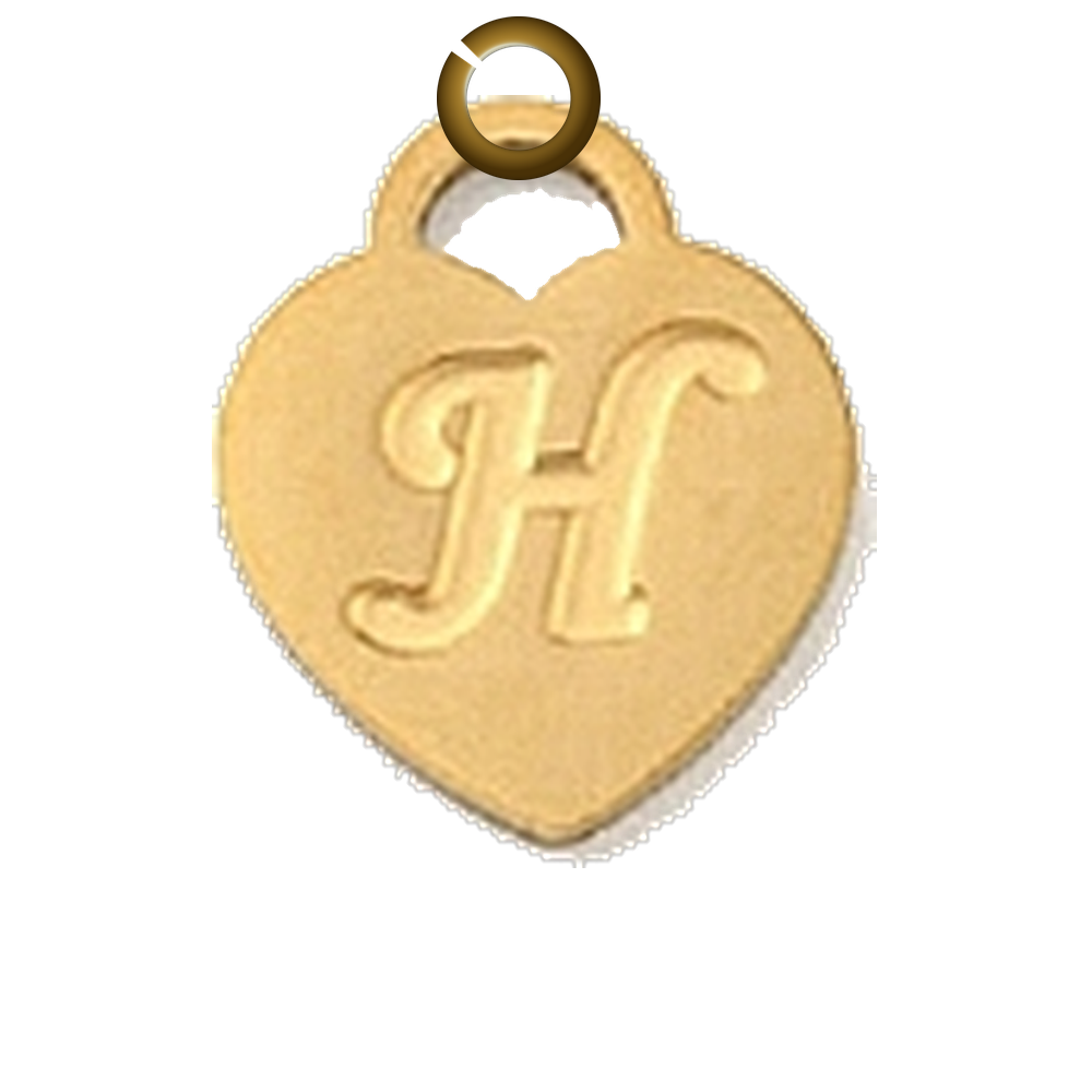 ENS-LTR005-H charm with jump ring