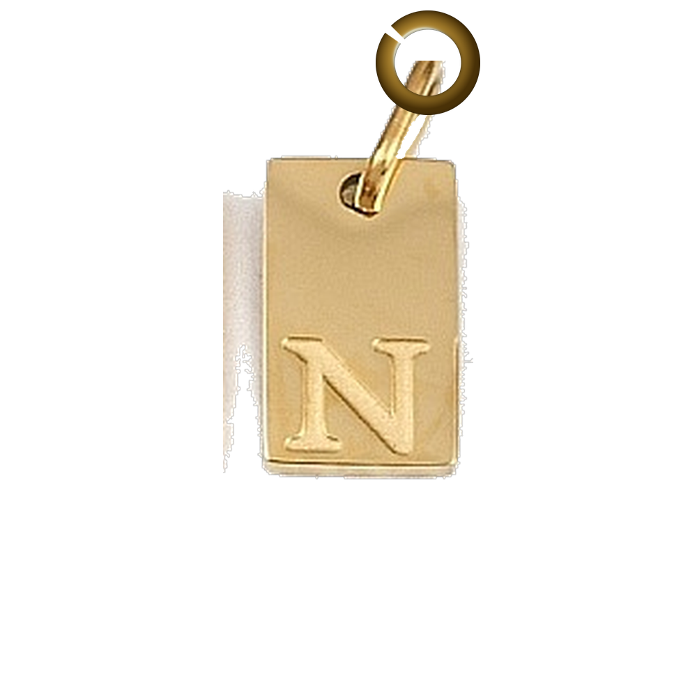 ENS-LTR011-N charm with jump ring