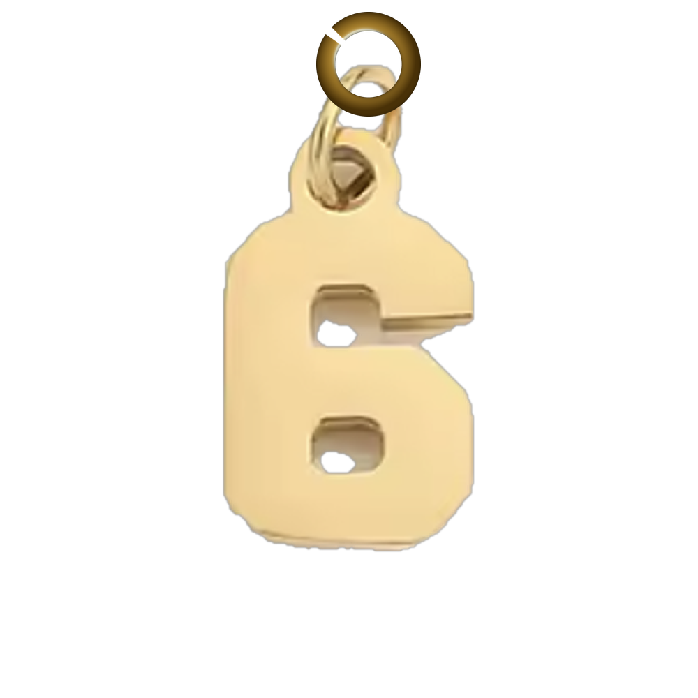 Block Number Charm - 6 charm with jump ring