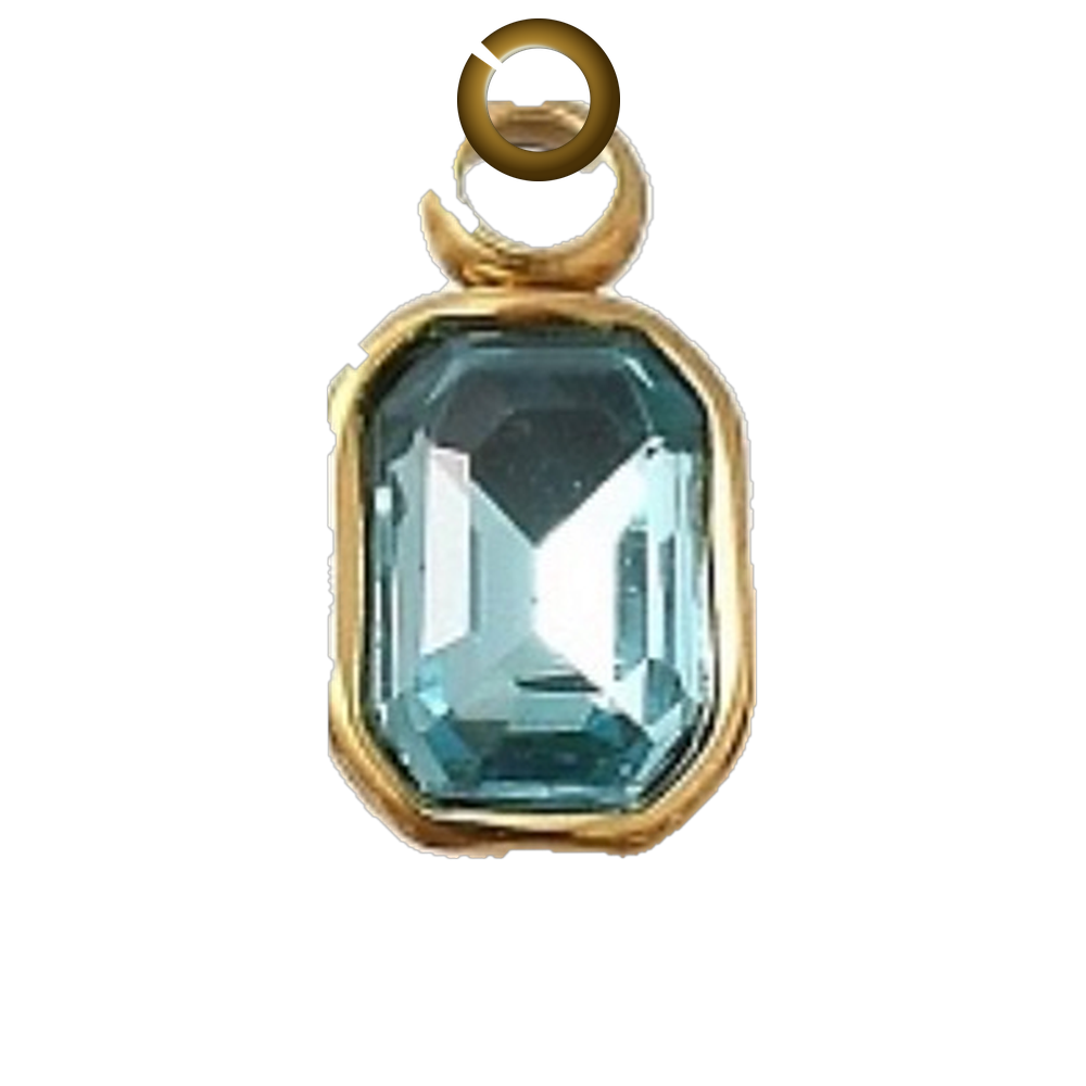 ENS-STN038-AQU charm with jump ring