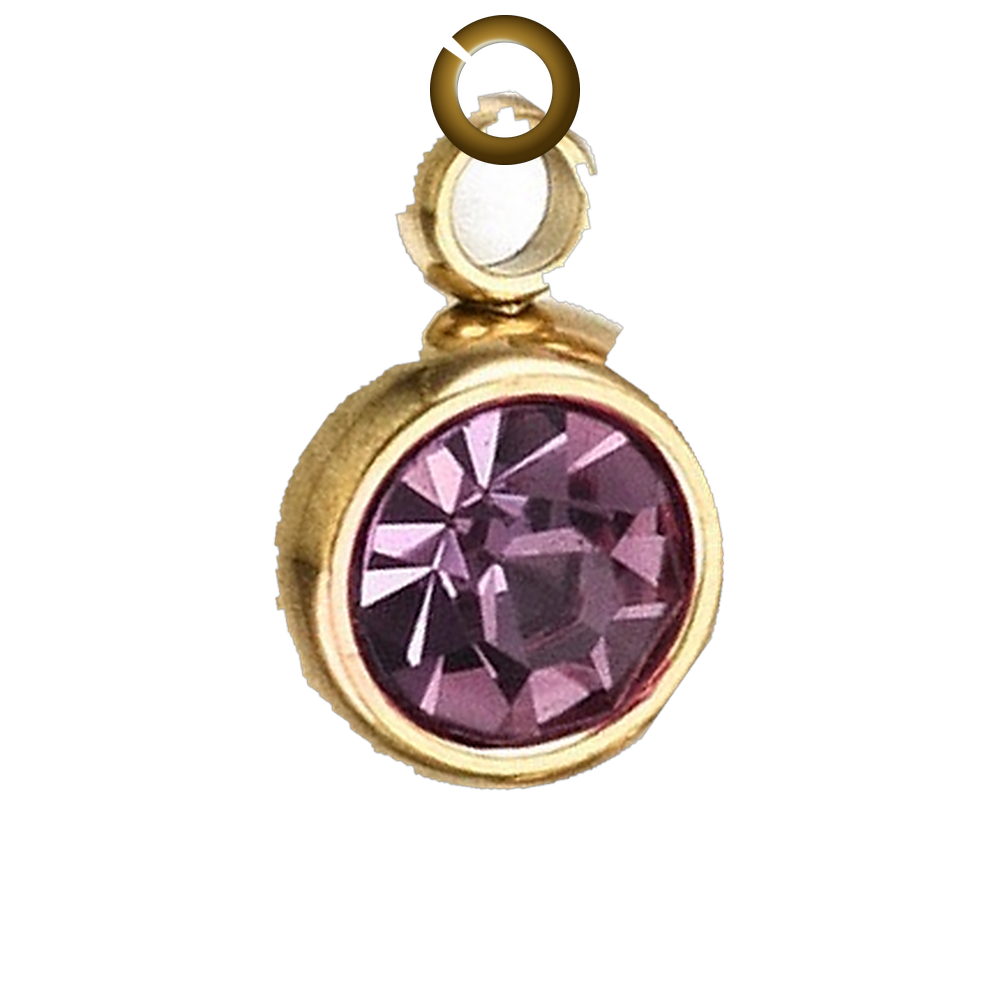 ENS-STN039-LAM charm with jump ring