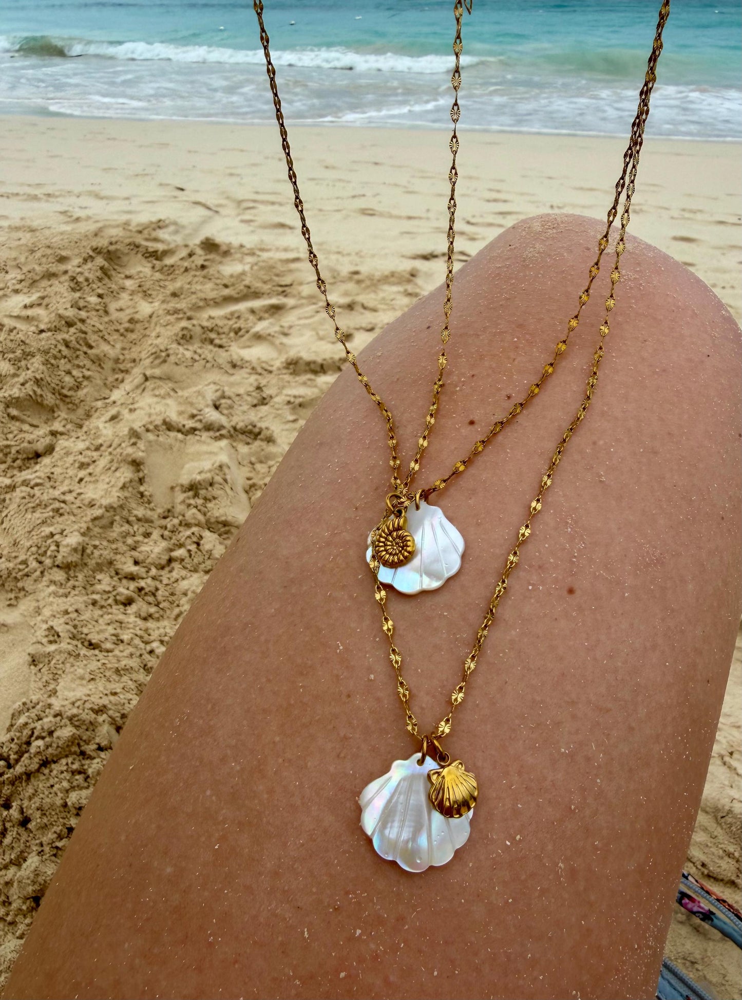 Golden Scallop Necklace | Stainless Steel Water Resistant | Summer Ocean Beach Necklace |