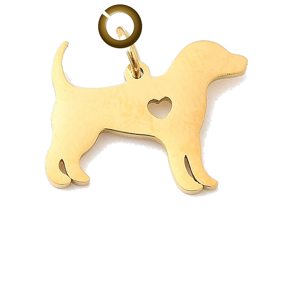 ENS-CLP006-GOL charm with jump ring
