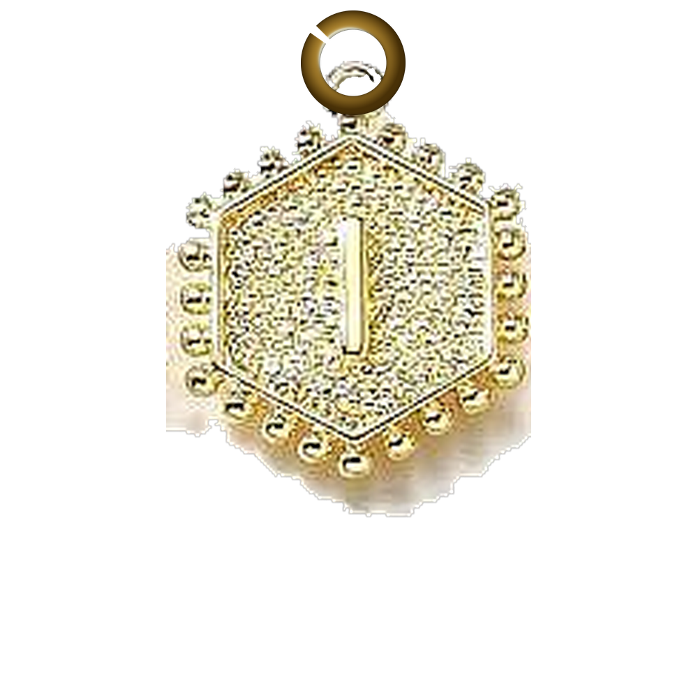 ENS-LTR001-I charm with jump ring