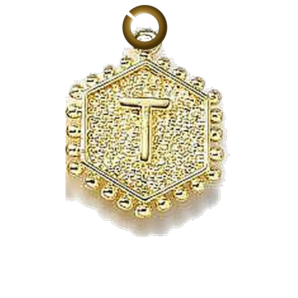 ENS-LTR001-T charm with jump ring