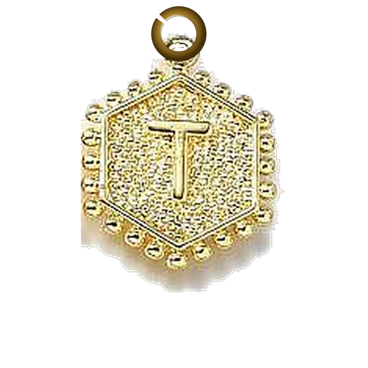 ENS-LTR001-T charm with jump ring