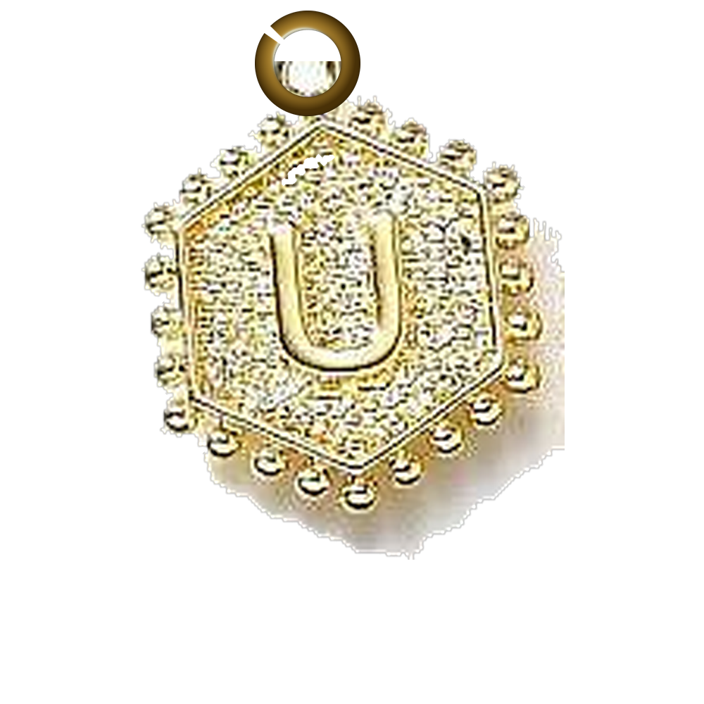 ENS-LTR001-U charm with jump ring