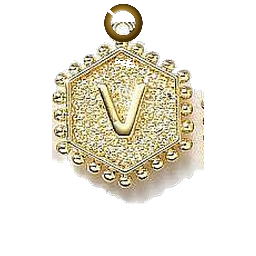 ENS-LTR001-V charm with jump ring