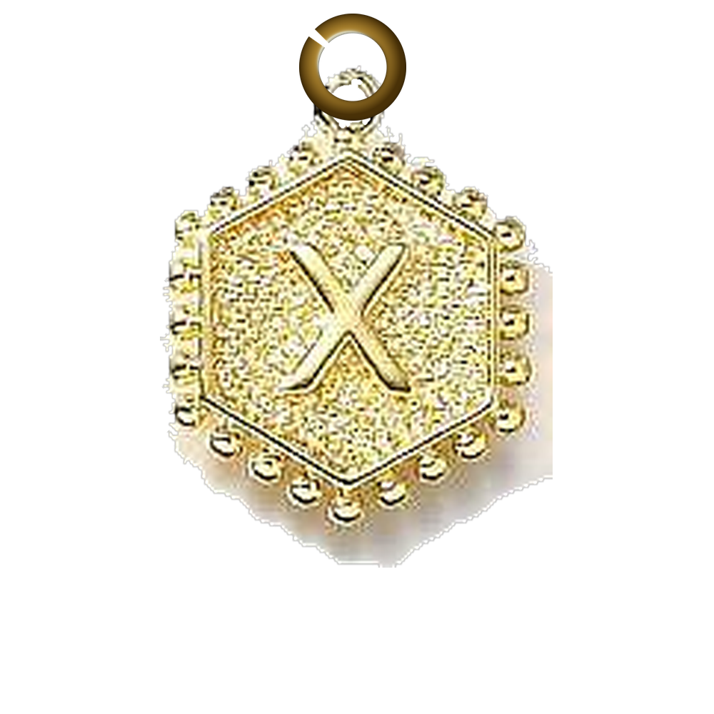 ENS-LTR001-X charm with jump ring