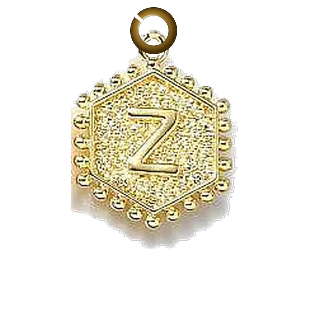 ENS-LTR001-Z charm with jump ring