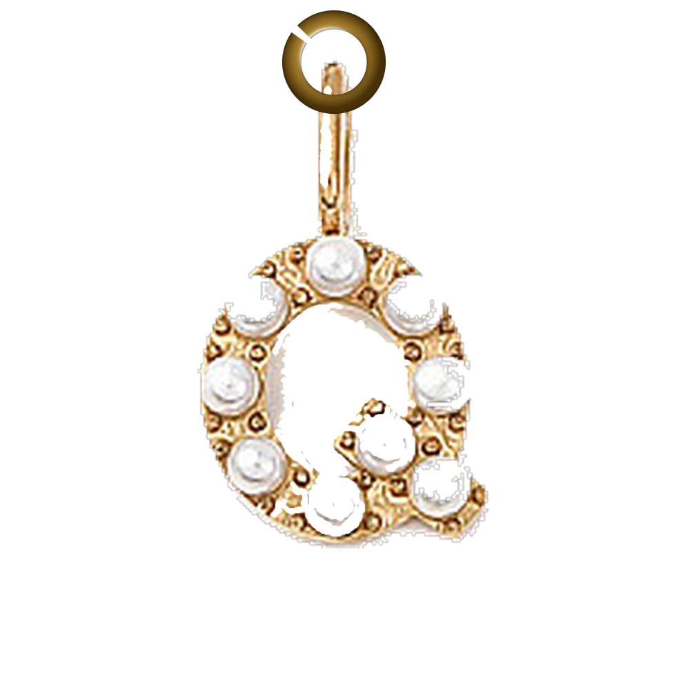 ENS-LTR003-Q charm with jump ring