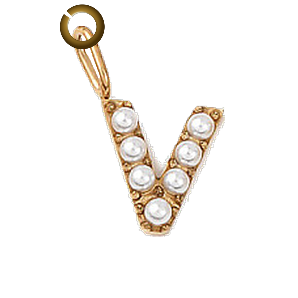 ENS-LTR003-V charm with jump ring