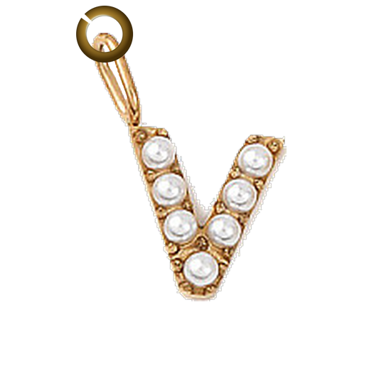 ENS-LTR003-V charm with jump ring