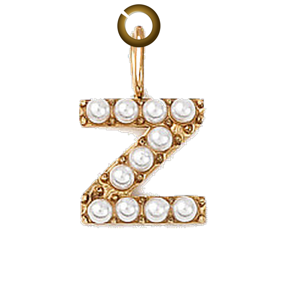 ENS-LTR003-Z charm with jump ring