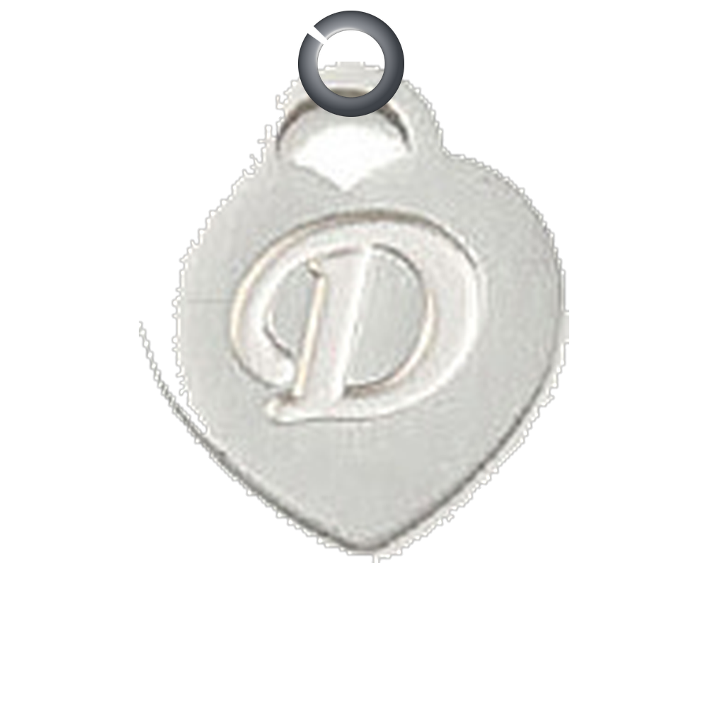 ENS-LTR004-D charm with jump ring