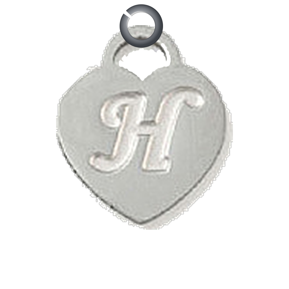 ENS-LTR004-H charm with jump ring