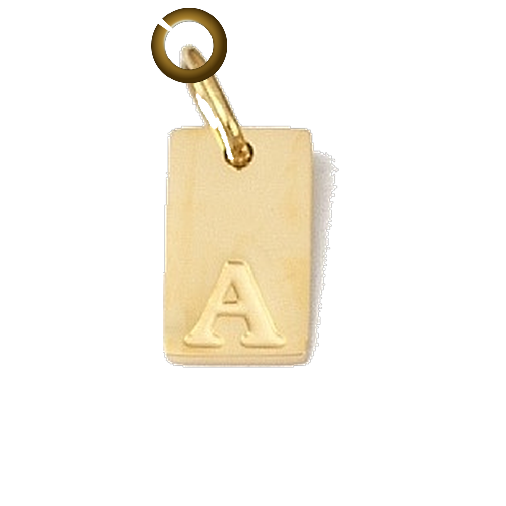 ENS-LTR011-A charm with jump ring