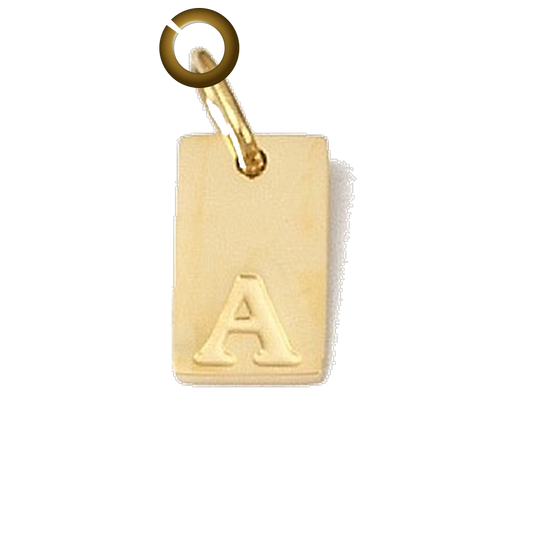ENS-LTR011-A charm with jump ring