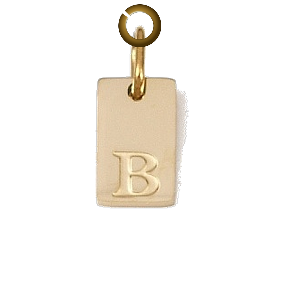 ENS-LTR011-B charm with jump ring