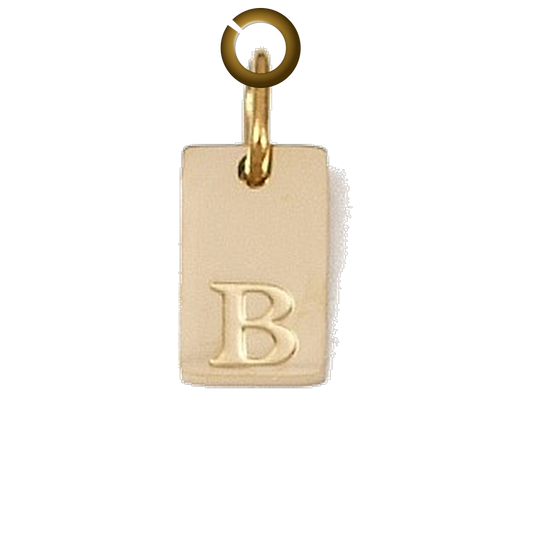 ENS-LTR011-B charm with jump ring