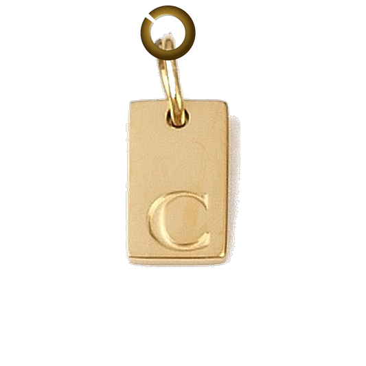 ENS-LTR011-C charm with jump ring