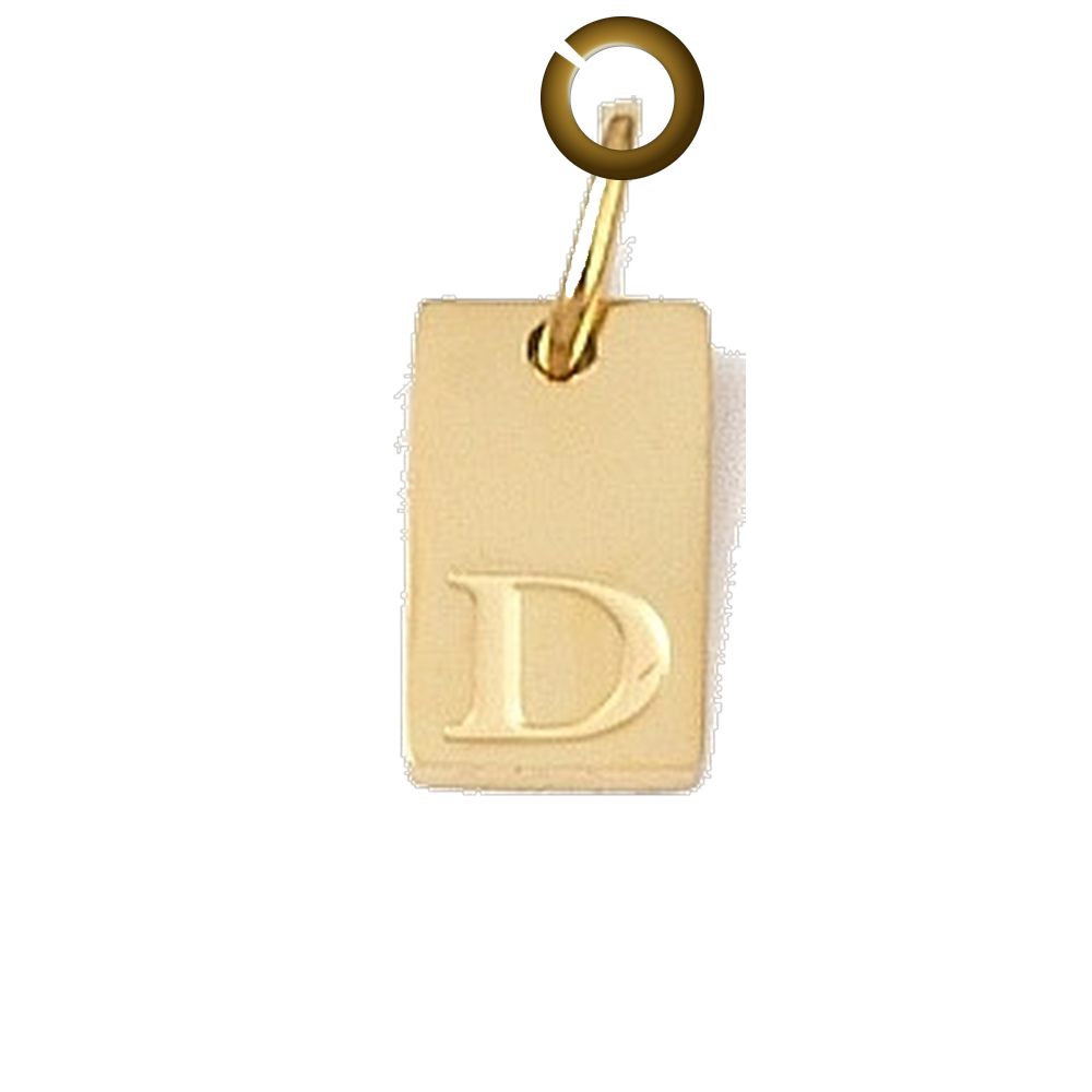 ENS-LTR011-D charm with jump ring