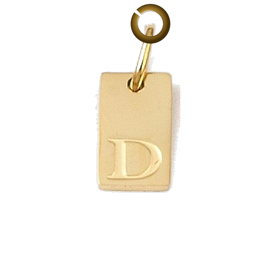 ENS-LTR011-D charm with jump ring