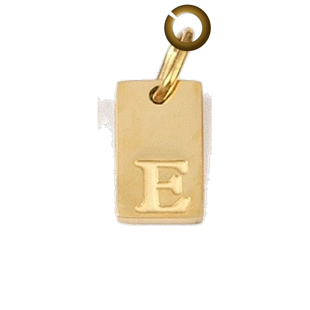 ENS-LTR011-E charm with jump ring