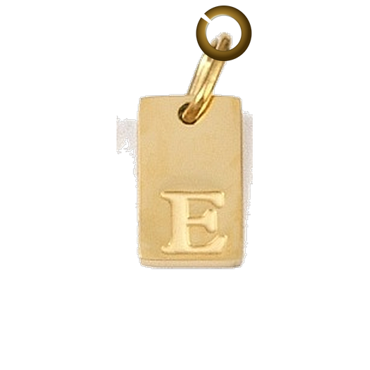 ENS-LTR011-E charm with jump ring
