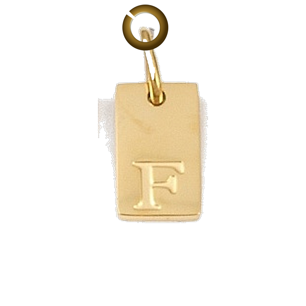 ENS-LTR011-F charm with jump ring
