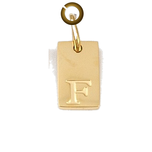 ENS-LTR011-F charm with jump ring