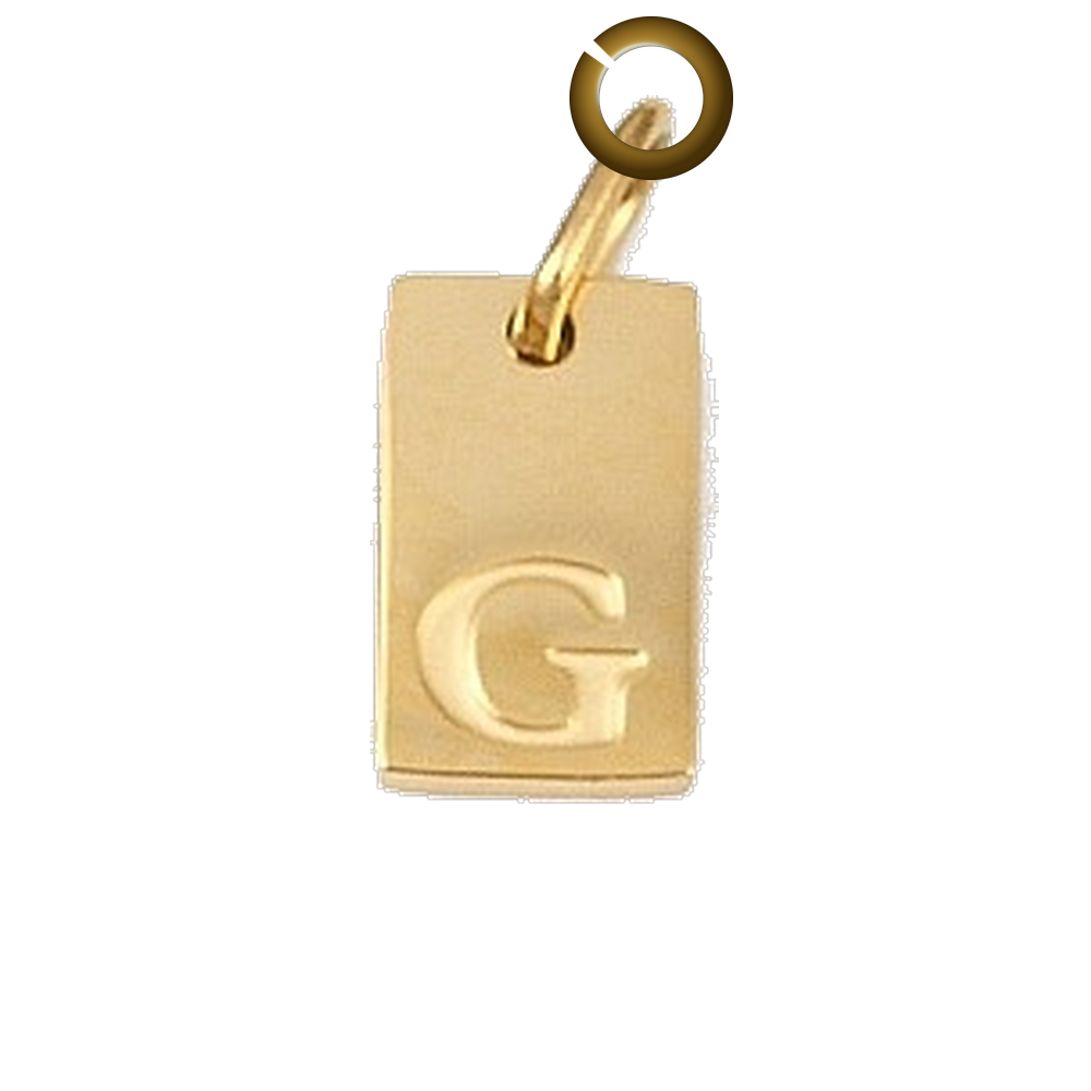ENS-LTR011-G charm with jump ring