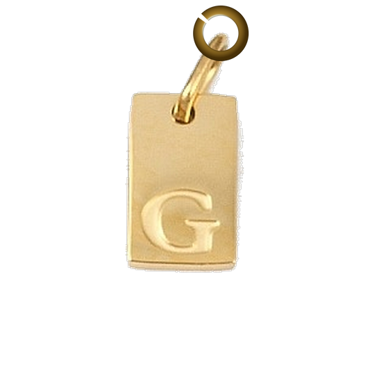ENS-LTR011-G charm with jump ring