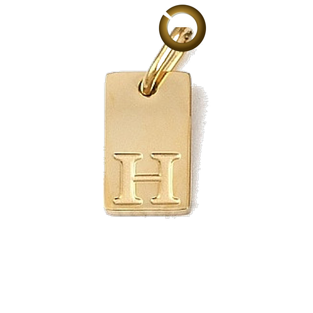 ENS-LTR011-H charm with jump ring