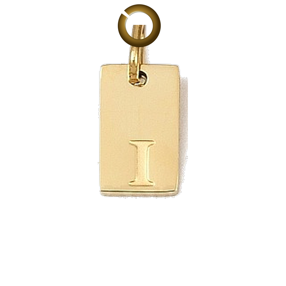 ENS-LTR011-I charm with jump ring