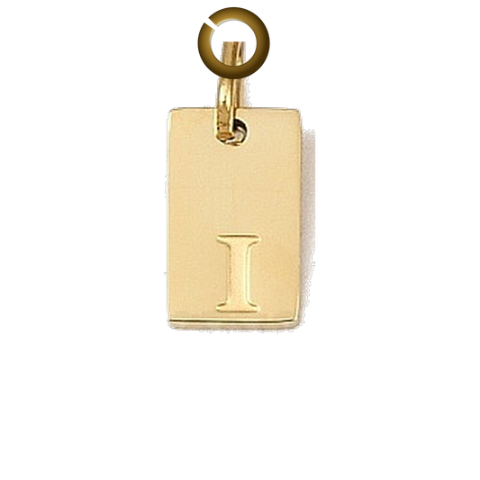 ENS-LTR011-I charm with jump ring