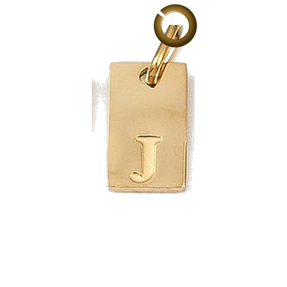 ENS-LTR011-J charm with jump ring