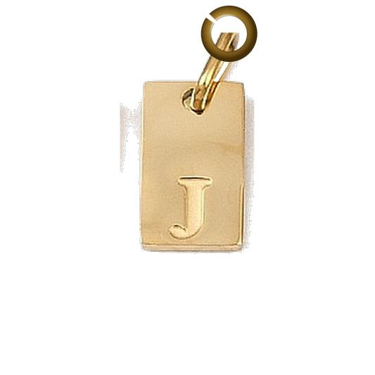 ENS-LTR011-J charm with jump ring