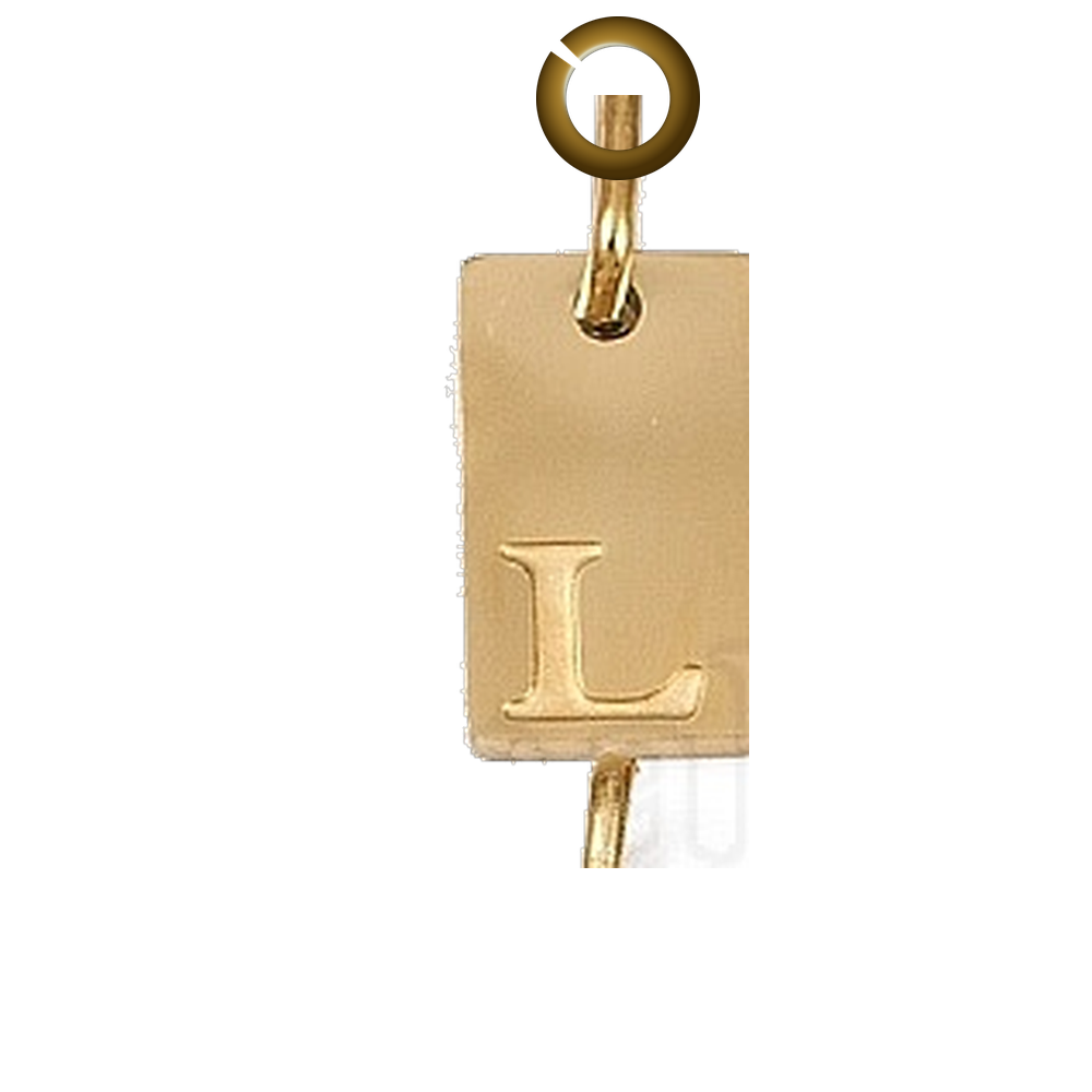 ENS-LTR011-L charm with jump ring