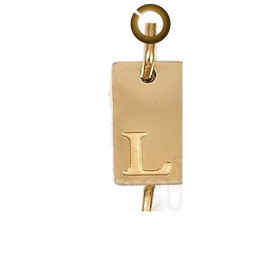 ENS-LTR011-L charm with jump ring