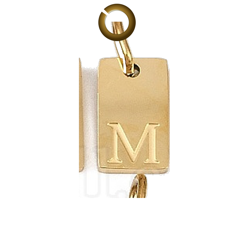 ENS-LTR011-M charm with jump ring