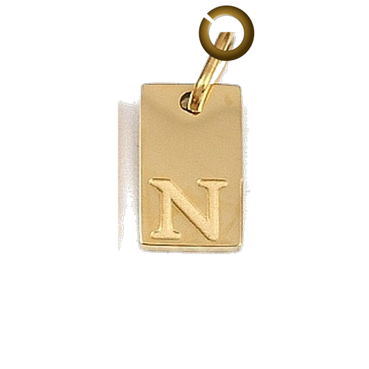 ENS-LTR011-N charm with jump ring