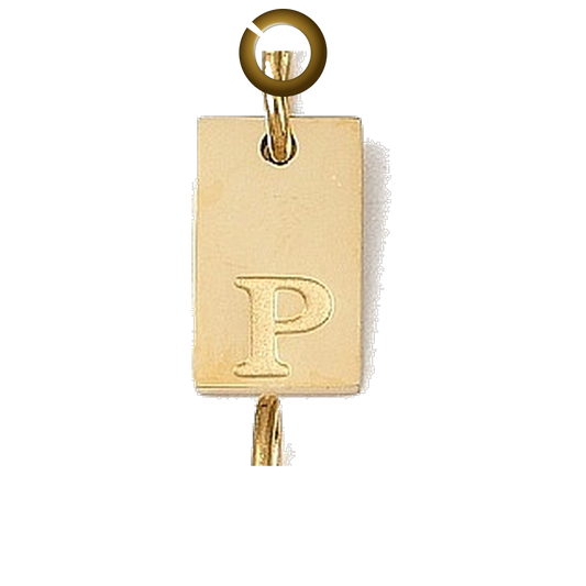 ENS-LTR011-P charm with jump ring