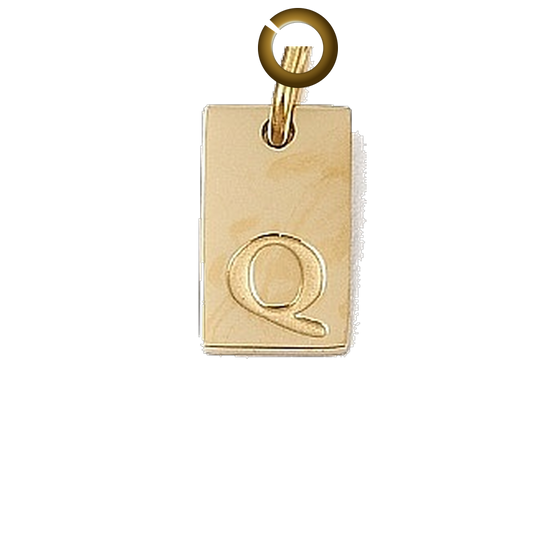 ENS-LTR011-Q charm with jump ring