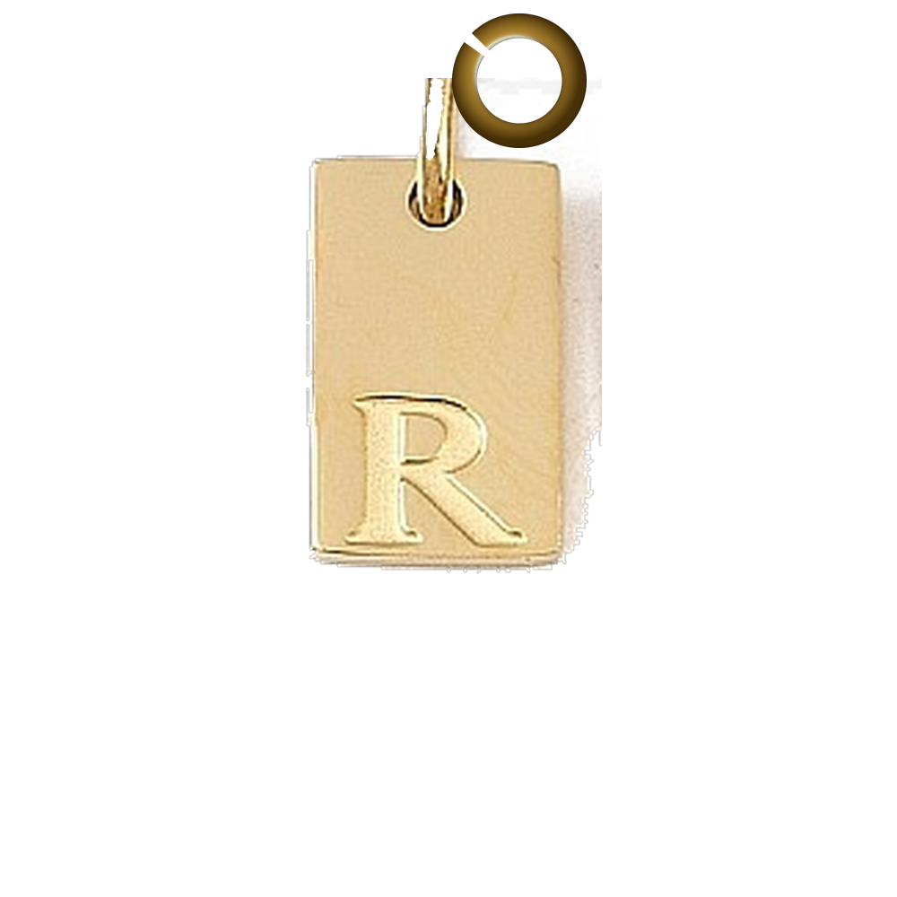 ENS-LTR011-R charm with jump ring