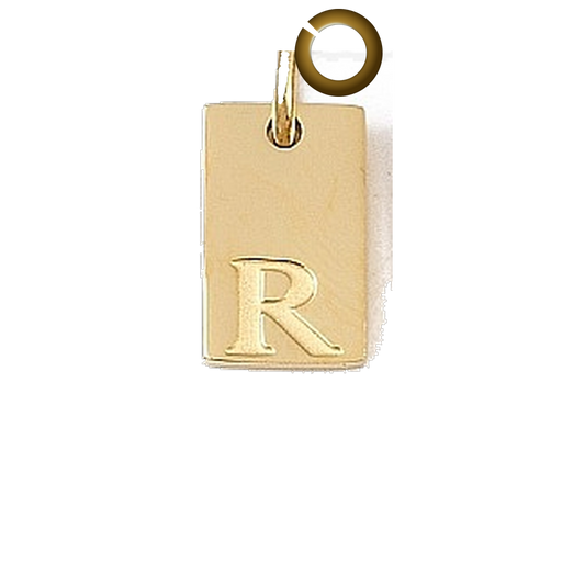ENS-LTR011-R charm with jump ring