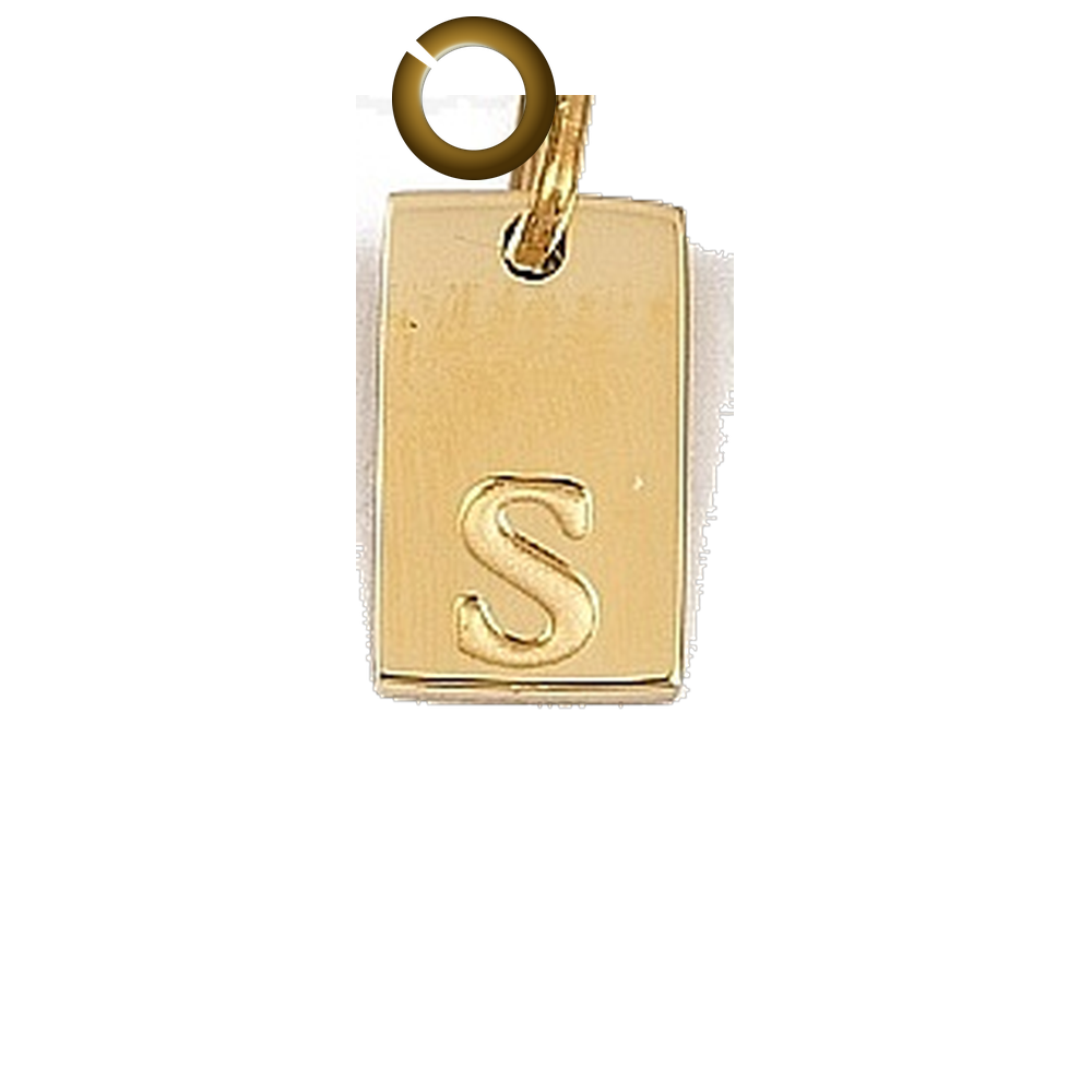 ENS-LTR011-S charm with jump ring
