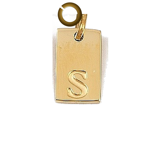ENS-LTR011-S charm with jump ring